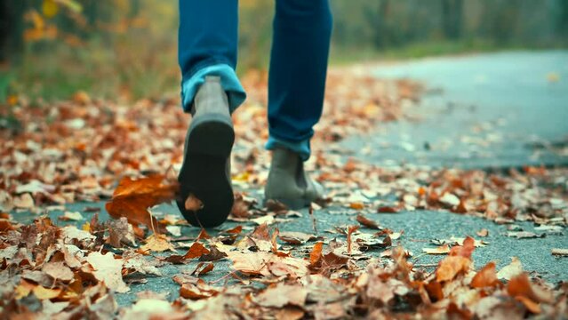 walk on footpath on fallen leaves