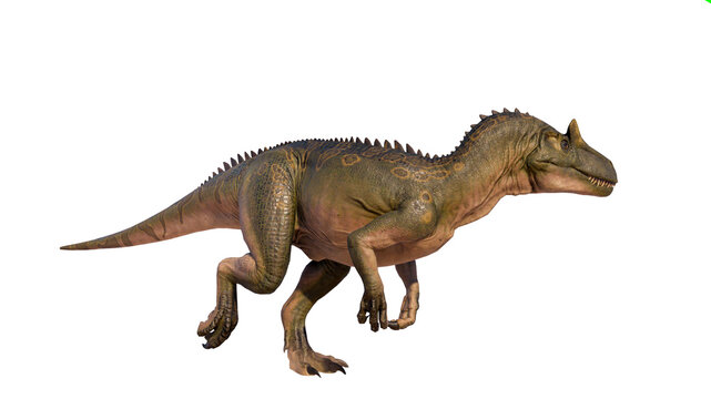 Allosaurus roaring isolated on blank background PNG ultra high resolution