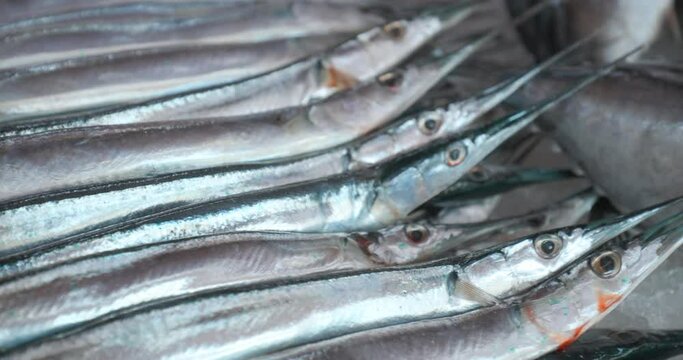 Close-up View On Fresh Garfish On Ice On Market Store Shop. Belone Belone, Also Known As Garpike Or Sea Needle. Colour Of Body Is Bluish Green With A Silvery Grey Belly And Bones Are Green.