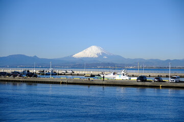 海辺から富士山を眺める