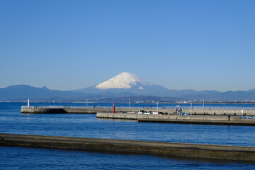 海辺から富士山を眺める