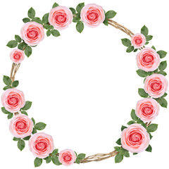 Collection of Pink Rose vine with leaf on white background, Rose vine on white With work path PNG File.