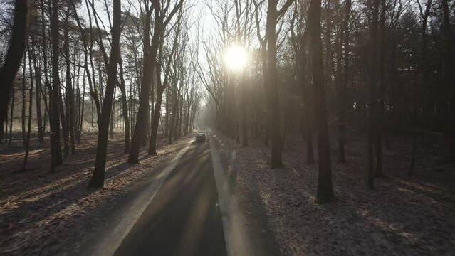 Drone flying fast following a car driving on a road in the forest with the sun casting rays between the trees in the netherlands in 4k
