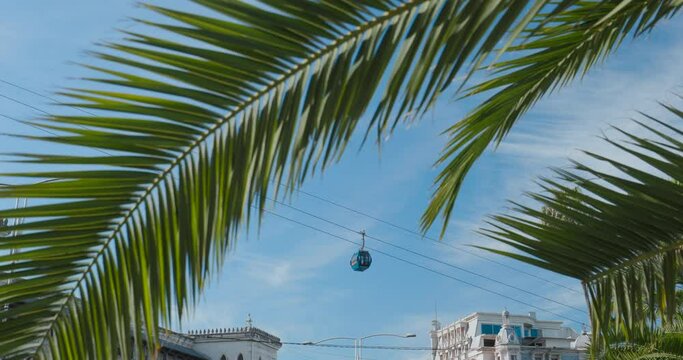 Colorful View Through Palm Tree Leaves On Cableway Argo Cable Car In Batumi, Adjara, Georgia. Bright Blue Sky. Sunny Autumn Day .