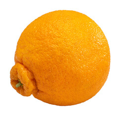 Orange fruit  on white background, Dekopon orange or sumo mandarin tangerine on white background PNG File.