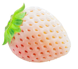 Fresh pink snow strawberry isolated on white background, White and Pink snow Strawberries on White Background PNG File.