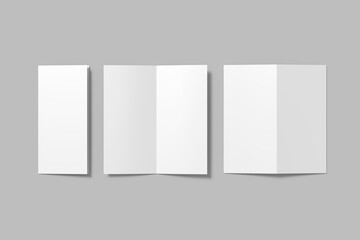 DL Bifold Brochure Blank Mockup