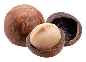Macadamia nut  on white background, Roasted Macadamia nut on White Background PNG file.