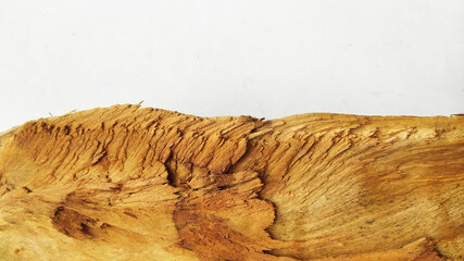 firewood natural texture with isolated white background