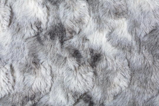 Gray Fur Background