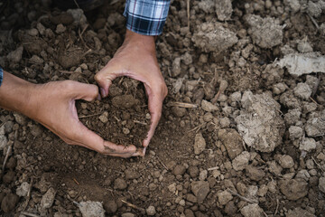 Soil in the hands of farmers. Concept of agriculture.