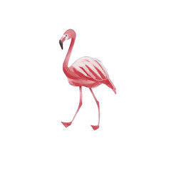 watercolor flamingo