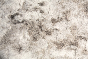 Gray fur background