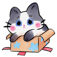 cat in the box star