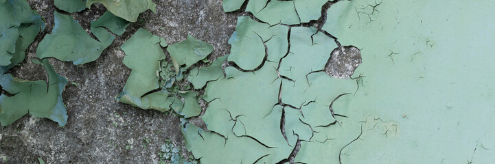 Peeling paint on the wall. Panorama of a concrete wall with old cracked flaking paint. Weathered rough painted surface with patterns of cracks and peeling. Wide panoramic grunge texture for background