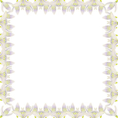 Watercolor hand drawn square frame with spring flowers, snowdrops, green fresh leaves. Isolated on white background. Design for invitations, wedding, greeting cards, wallpaper, print, textile.