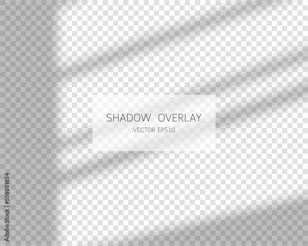 Poster shadow overlay effect. natural shadows from window isolated on transparent background. vector illust