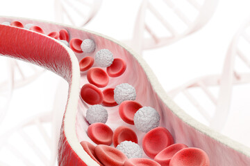 Blood vessel with flowing Red blood and White blood cells, 3D illustration - obrazy, fototapety, plakaty