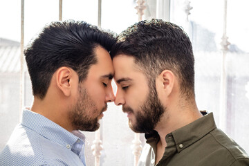 young interracial gay couple romantic and affectionate at home - Powered by Adobe