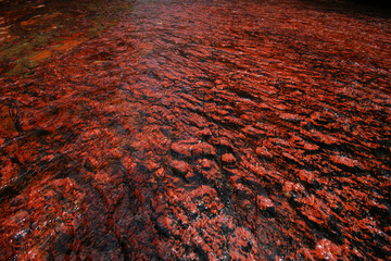 Red jasper riverbed at Quebrada de Jaspe, Jasper Creek, Gran Sabana, Venezuela