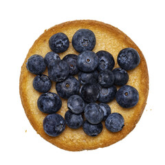 Top view of golden toasted round rusk toast aka beschuit with blueberries on top. Isolated cutout on transparent background.