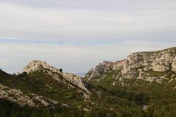 Fototapeta na wymiar Calanque de Marseille - Sud de la France