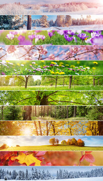 Collage of the panoramic photos of the twelve months of the year.