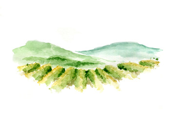 Abstract landscape with vineyard / Watercolor illustration, mountain landscape with fields