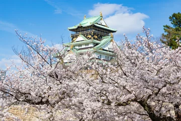 Foto auf Acrylglas 大阪城と桜 © photop5