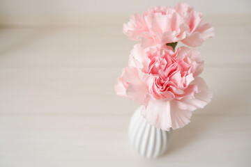 Beautiful pink Carnation on white background. Mother's day, Women's day and wedding floral background. Closed up pink carnation flower. 