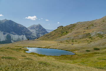 Fototapeta na wymiar Lac de Sarailles. La vallée des fonts de Cervières en été. Une vallée sauvage préservée.