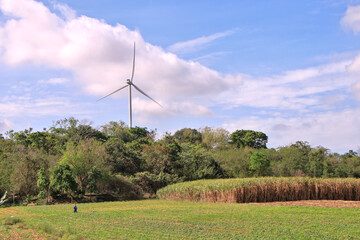 Fototapeta na wymiar agriculture wind turbine technology and environment All must be in parallel.