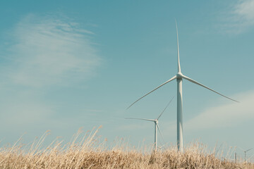 Jeju olle trail, windmill and reed field in Jeju island, Korea