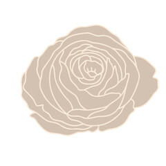Flower Flat Simple rose 