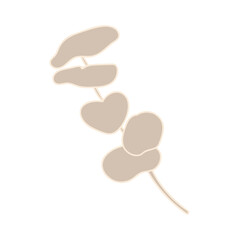 Flower Flat eucalyptus leaf 