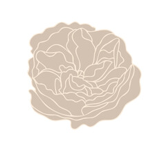 Flower Flat Evelyn Rose 