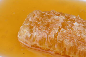 selective focus Honeycomb full of fresh raw honey