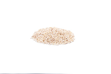 SORGO ECOLÓGICO
