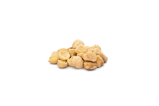 CASTA&Ntilde;A PILONGA