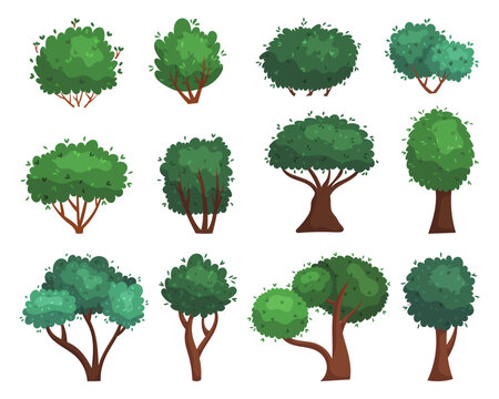 Set of Cartoon Trees Isolated on White Background. Forest And Garden Green Plants, Deciduous Landscape Objects