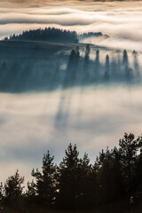 Fog divided by sun rays. Misty morning view in wet mountain area.  - 558095049