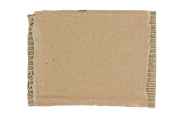 Cardboard ripped edge isolated white background. cardboard paper texture