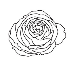 Flower Outline Simple rose 