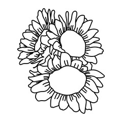 Flower Outline sunflower
