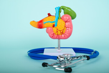 pancreas and stethoscope lies on a blue background