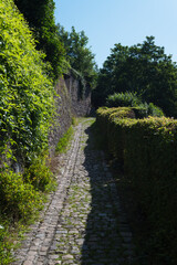 footpath in the park