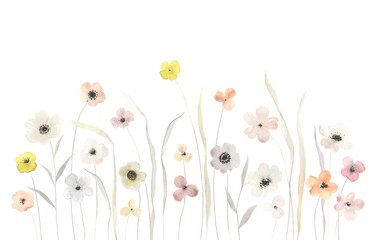 Abstract wildflowers, horizontal floral border of delicate flowers and grasses, isolated watercolor illustration for invitation, greeting cards, cute wallpapers or tender background for text. - 558098649