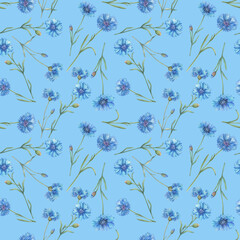 Seamless pattern with blue cornflower flower (Centaurea cyanus, bachelor's button, knapweed or bluett). Watercolor hand drawn painting illustration isolated on blue background.