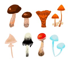 set of mushrooms