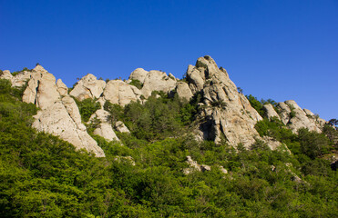 rocks on a mountain with a cliff covered with forest and pine trees, bushes against a bright blue sky in sunny weather in summer in the Crimea in Ukraine in Europe